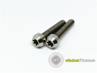 Titanium motorcycle bolts 