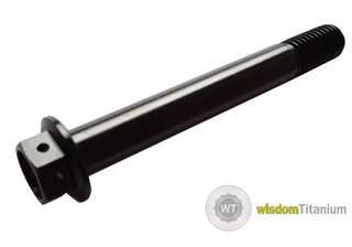 M10*55 Titanium Brake Caliper Bolt