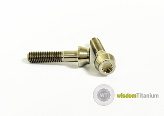 Customized Titanium Rim Bolts